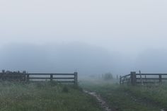 a foggy field with two wooden fences in the foreground and grass on the other side