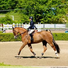 a woman riding on the back of a brown horse across a dirt field with trees in the background