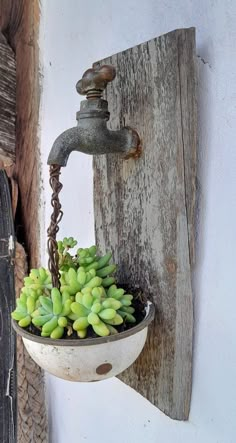 an old faucet with succulents in it hanging on a wall