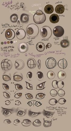 an image of various types of eyes