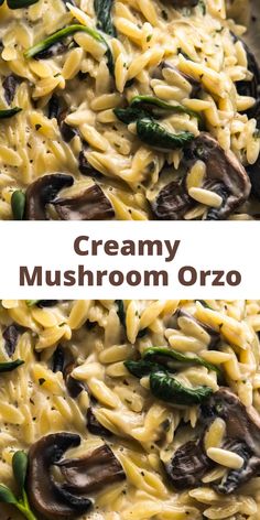 creamy mushroom orzo Orzo Dinner Recipes, Mushroom Orzo, Spinach Orzo, Pasta With Mushrooms, Vegetarian Pasta Dishes, Mushroom Spinach