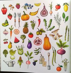 a drawing of various fruits and vegetables