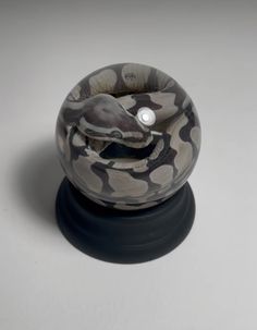 a ball with a snake in it sitting on top of a black base and white background