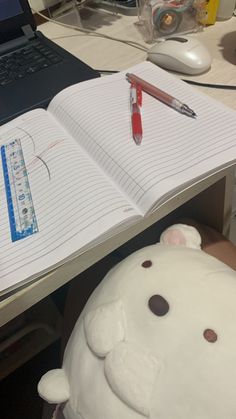 a teddy bear head sitting on top of a desk next to an open notebook