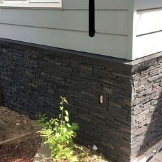 a black and white cat sitting on the side of a house