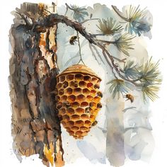 a watercolor painting of a beehive hanging from a tree with pine cones