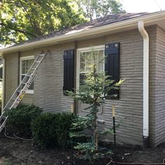 a ladder is attached to the side of a house with shutters open and trees in front of it