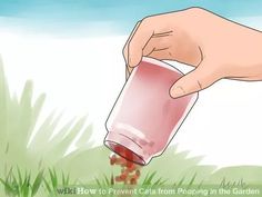 a hand is pouring something out of a can into the ground with grass in the background