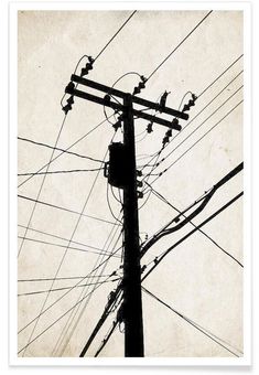 black and white photograph of power lines with telephone poles in the background by corbi