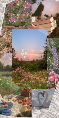 a collage of photos with flowers, books and swans