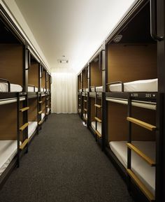 a long row of bunk beds in a room with carpeted flooring and walls