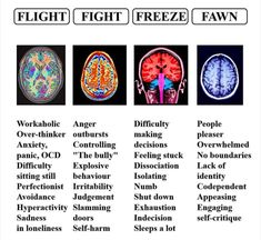 the different types of brain functions are shown in this chart, which shows what they look like