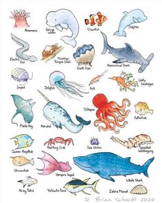 an ocean animal poster with different types of sea animals and their names in english or spanish