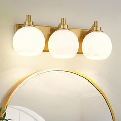 a bathroom mirror with three lights above it and a plant on the counter next to it