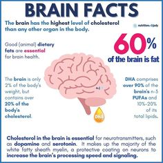 Facts About the Brain Facts About The Brain, Brain Healing, Feed Your Mind, Nutritional Therapy Practitioner, Brain Facts, Nutritional Therapy, Fatty Fish, Body Organs