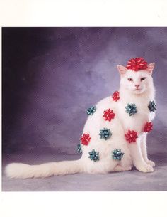 a white cat with red and blue flowers on it's tail sitting in front of a gray background