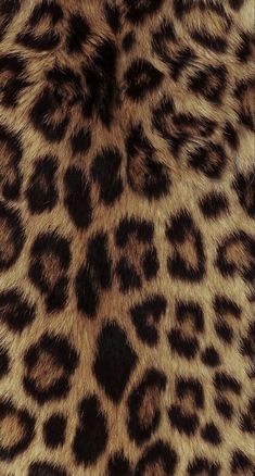 an animal print pattern is shown in brown and black colors on the skin of a cheetah