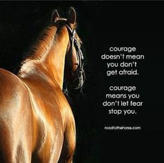 Barrel Racing Quotes