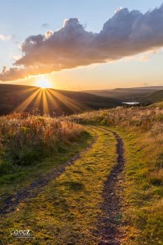 the sun is setting over a grassy field with a trail going through it and clouds in the sky