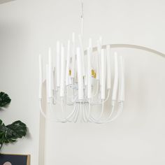 a white chandelier hanging from the ceiling in a room with a green plant