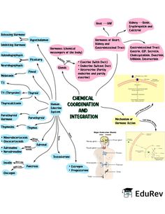 a mind map with the words'medical coordination and intenstation '