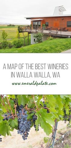 a map of the best wineries in walla walla, wa with grapes growing on it