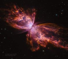 an image of a butterfly shaped object in the sky with stars and dust around it