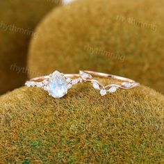 two wedding rings sitting on top of a mossy surface with white flowers in the background