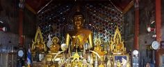 there is a golden buddha statue in the middle of a room with many clocks around it