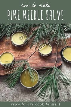 Check out this Pine Salve Recipe & Benefits in our Herbal Salves Recipes & Herbal Skin Care series. This homemade salve, crafted with pine infused oil, is an excellent choice for tackling winter skin woes. Not only does it moisturize and soothe dry skin, but it also delights the senses with its natural pine aroma. Perfect for anyone interested in herbal skin care. Find more Homemade Skin Care, Foraging Recipes, and Herbs for Health at growforagecookferment.com. Pine Salve, Homemade Salve Recipes, Dry Skin Home Remedies, Homemade Salve, Spruce Essential Oil, Herbal Academy, Pine Oil, Foraging Recipes