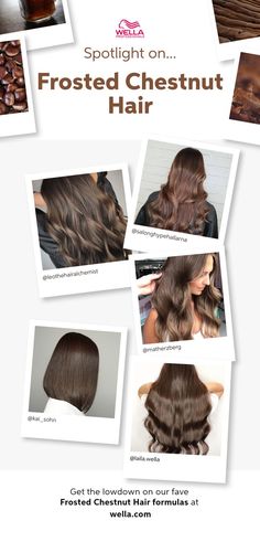 Wella Hair Color Chart, Warm Brunette Hair, Brown Hair Color Chart, Hair Formulas, Hair Color Brown Chestnut, Hair Color Inspiration, Caramel Brown Hair, Chestnut Brown Hair, Wella Hair Color