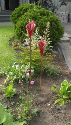 two red flowers are in the dirt near some bushes and plants with green leaves on them