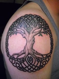 a man with a tree tattoo on his shoulder