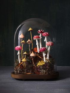 a group of mushrooms under a glass dome