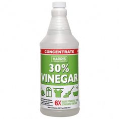 a bottle of vinegar on a white background