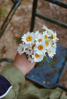 a person's hand holding a bunch of daisies in front of a chair