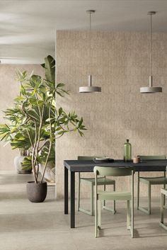 a dining room table with four chairs and a potted plant in the corner next to it