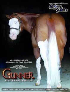 a brown and white horse standing on top of a dirt ground next to a black background