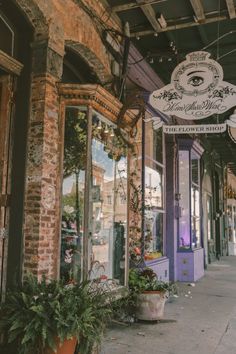 the outside of a flower shop with potted plants