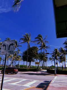 an intersection with palm trees and street signs