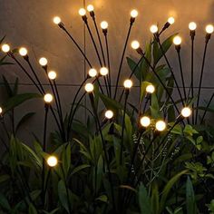 some lights that are on in the grass by a wall with plants and bushes around it