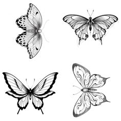 four different types of butterflies in black and white, each with one butterfly on it's wings