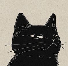 a drawing of a black cat's face