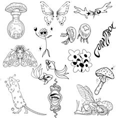 an ink drawing of different types of flowers and insects in black and white, with the word