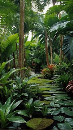 a garden filled with lots of lush green trees and plants on top of it's sides