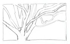 a drawing of a tree with no leaves