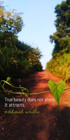 a leaf on the side of a dirt road with a quote about true beauty does not shine, it attracts