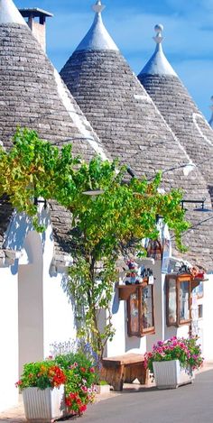 a row of white houses with plants growing out of them