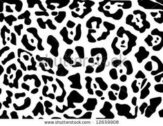 a black and white leopard print pattern