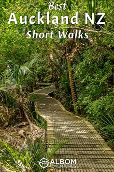 a wooden walkway surrounded by trees and greenery with the words best auckland nz short walks